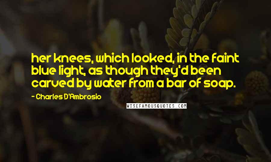 Charles D'Ambrosio Quotes: her knees, which looked, in the faint blue light, as though they'd been carved by water from a bar of soap.