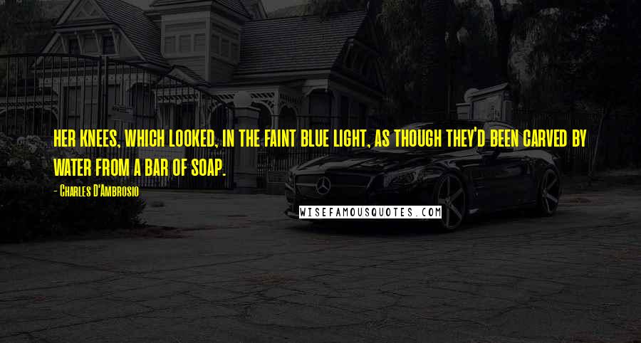 Charles D'Ambrosio Quotes: her knees, which looked, in the faint blue light, as though they'd been carved by water from a bar of soap.