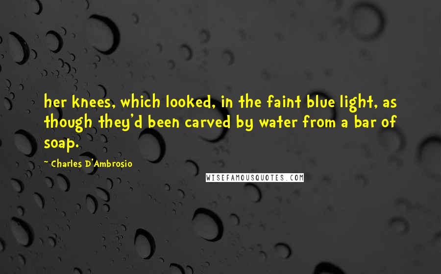 Charles D'Ambrosio Quotes: her knees, which looked, in the faint blue light, as though they'd been carved by water from a bar of soap.