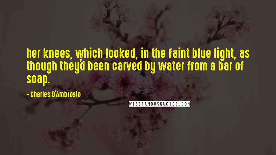 Charles D'Ambrosio Quotes: her knees, which looked, in the faint blue light, as though they'd been carved by water from a bar of soap.