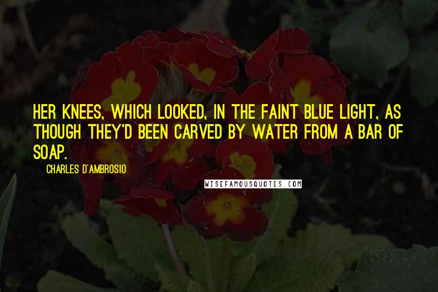 Charles D'Ambrosio Quotes: her knees, which looked, in the faint blue light, as though they'd been carved by water from a bar of soap.