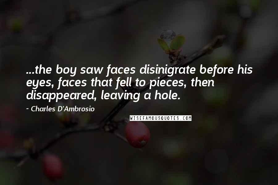 Charles D'Ambrosio Quotes: ...the boy saw faces disinigrate before his eyes, faces that fell to pieces, then disappeared, leaving a hole.