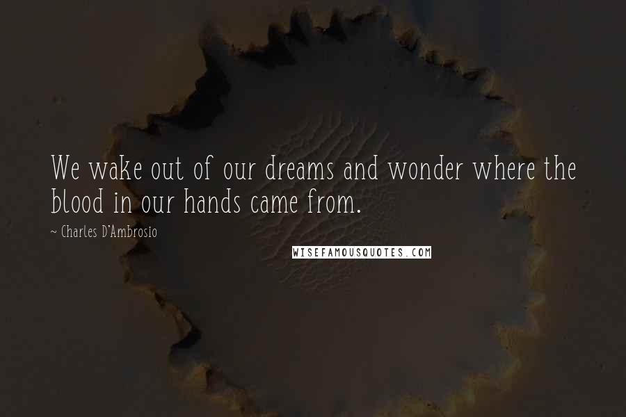 Charles D'Ambrosio Quotes: We wake out of our dreams and wonder where the blood in our hands came from.