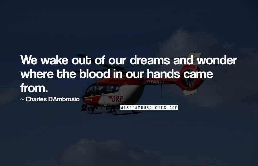 Charles D'Ambrosio Quotes: We wake out of our dreams and wonder where the blood in our hands came from.