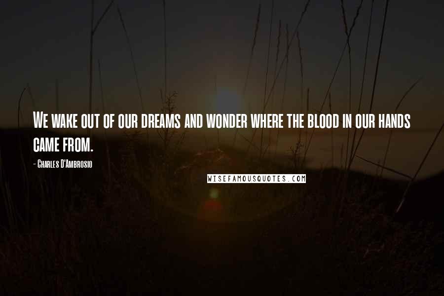 Charles D'Ambrosio Quotes: We wake out of our dreams and wonder where the blood in our hands came from.