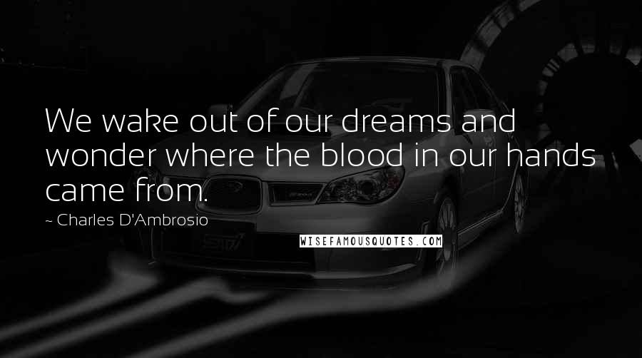 Charles D'Ambrosio Quotes: We wake out of our dreams and wonder where the blood in our hands came from.