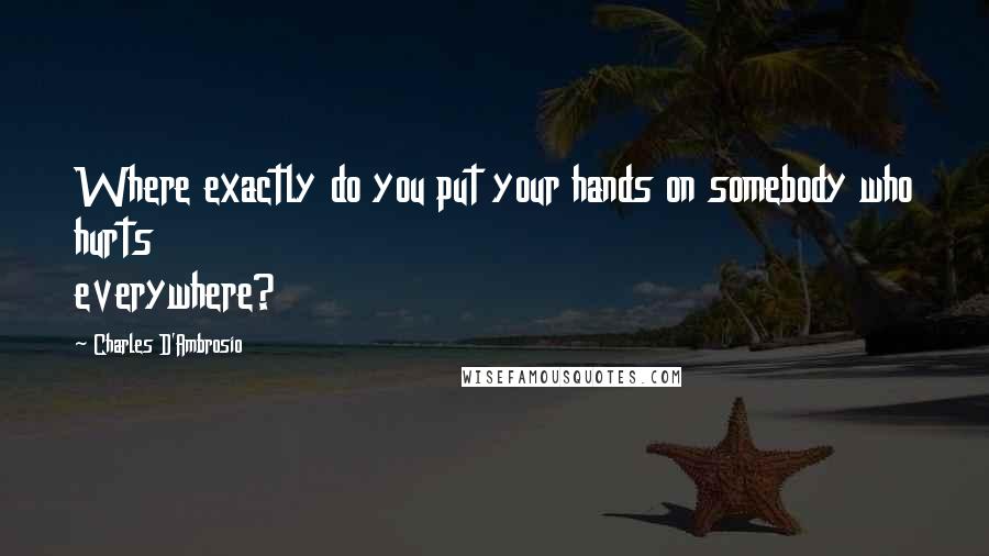 Charles D'Ambrosio Quotes: Where exactly do you put your hands on somebody who hurts everywhere?