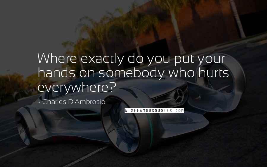 Charles D'Ambrosio Quotes: Where exactly do you put your hands on somebody who hurts everywhere?