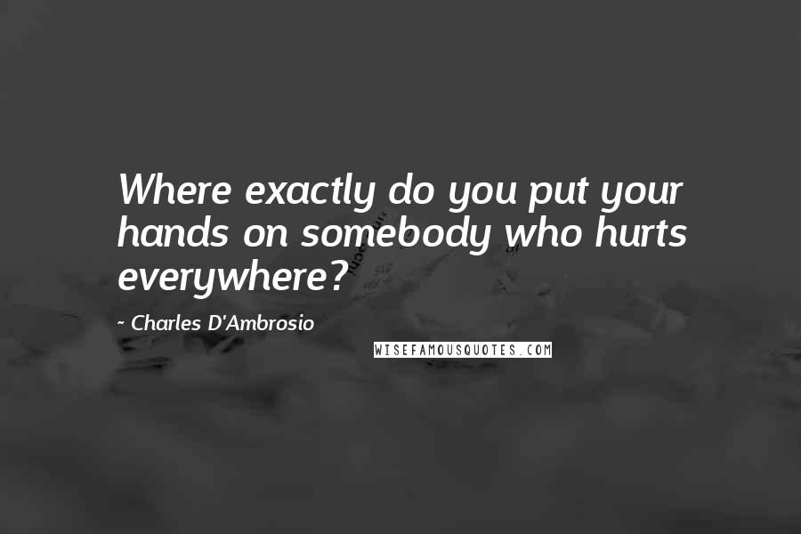 Charles D'Ambrosio Quotes: Where exactly do you put your hands on somebody who hurts everywhere?