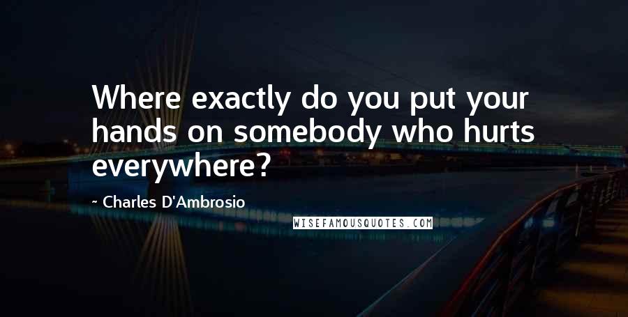 Charles D'Ambrosio Quotes: Where exactly do you put your hands on somebody who hurts everywhere?