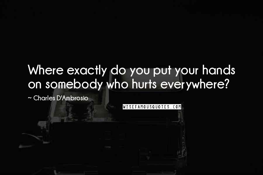 Charles D'Ambrosio Quotes: Where exactly do you put your hands on somebody who hurts everywhere?