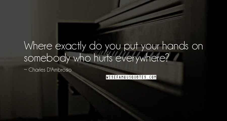 Charles D'Ambrosio Quotes: Where exactly do you put your hands on somebody who hurts everywhere?