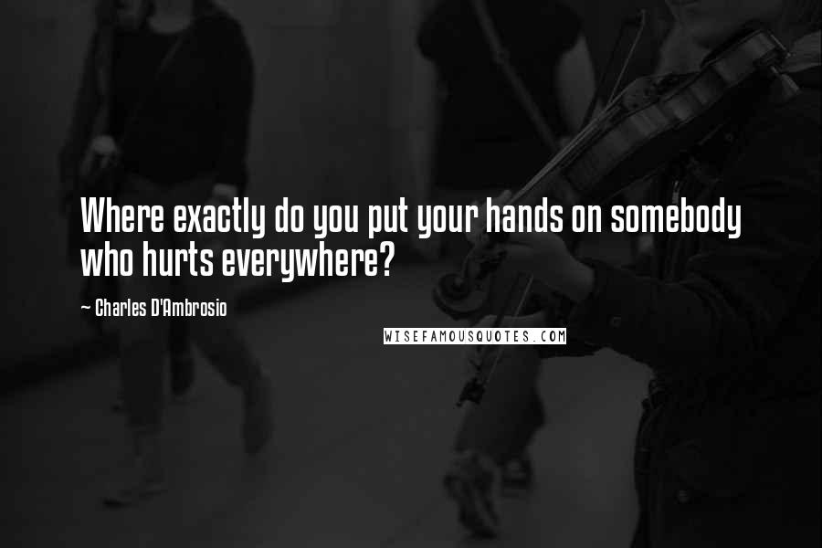 Charles D'Ambrosio Quotes: Where exactly do you put your hands on somebody who hurts everywhere?