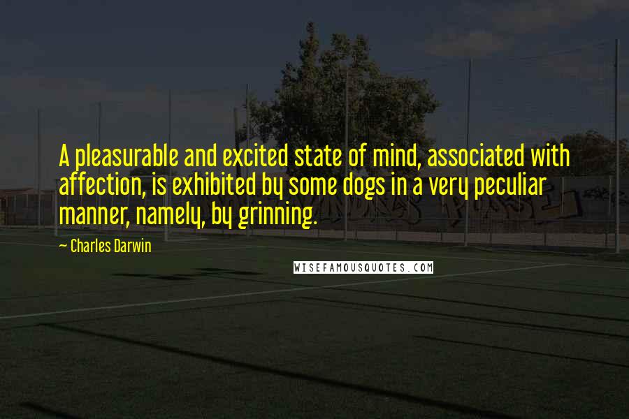 Charles Darwin Quotes: A pleasurable and excited state of mind, associated with affection, is exhibited by some dogs in a very peculiar manner, namely, by grinning.