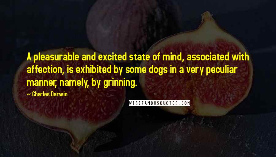 Charles Darwin Quotes: A pleasurable and excited state of mind, associated with affection, is exhibited by some dogs in a very peculiar manner, namely, by grinning.