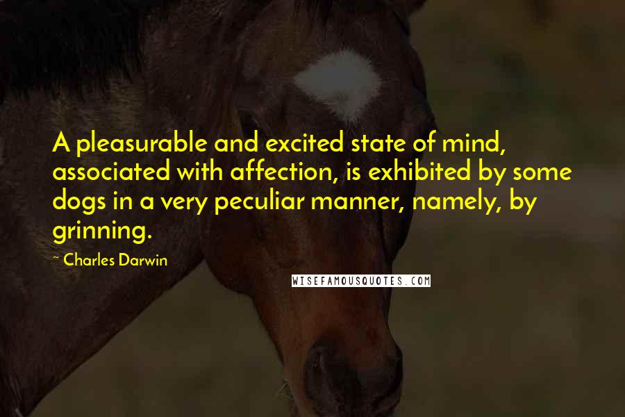 Charles Darwin Quotes: A pleasurable and excited state of mind, associated with affection, is exhibited by some dogs in a very peculiar manner, namely, by grinning.