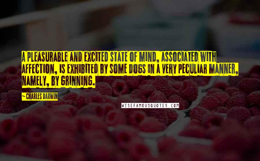 Charles Darwin Quotes: A pleasurable and excited state of mind, associated with affection, is exhibited by some dogs in a very peculiar manner, namely, by grinning.