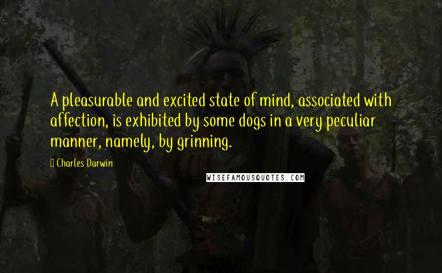 Charles Darwin Quotes: A pleasurable and excited state of mind, associated with affection, is exhibited by some dogs in a very peculiar manner, namely, by grinning.