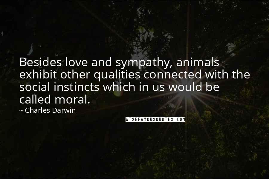 Charles Darwin Quotes: Besides love and sympathy, animals exhibit other qualities connected with the social instincts which in us would be called moral.