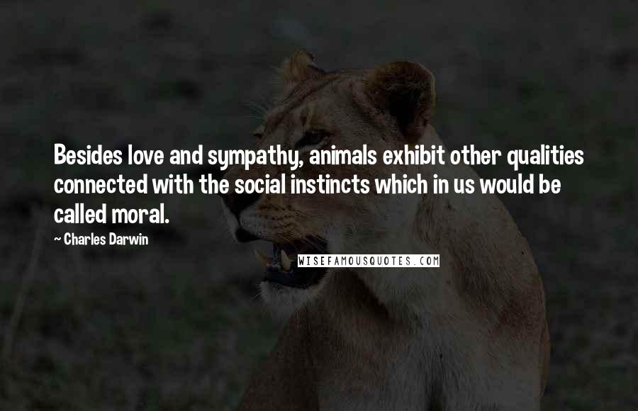 Charles Darwin Quotes: Besides love and sympathy, animals exhibit other qualities connected with the social instincts which in us would be called moral.