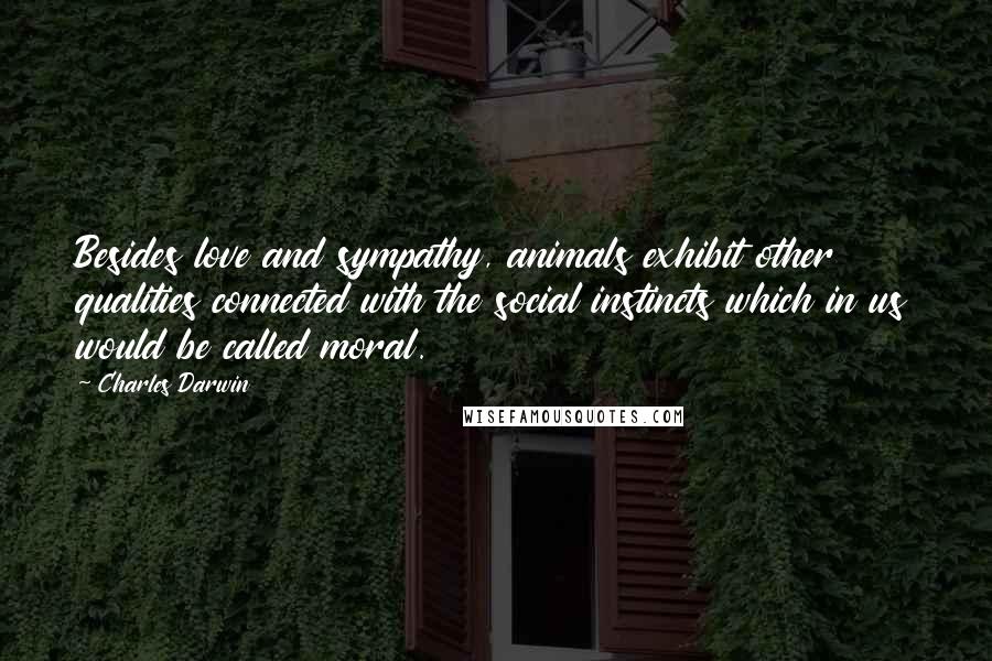 Charles Darwin Quotes: Besides love and sympathy, animals exhibit other qualities connected with the social instincts which in us would be called moral.