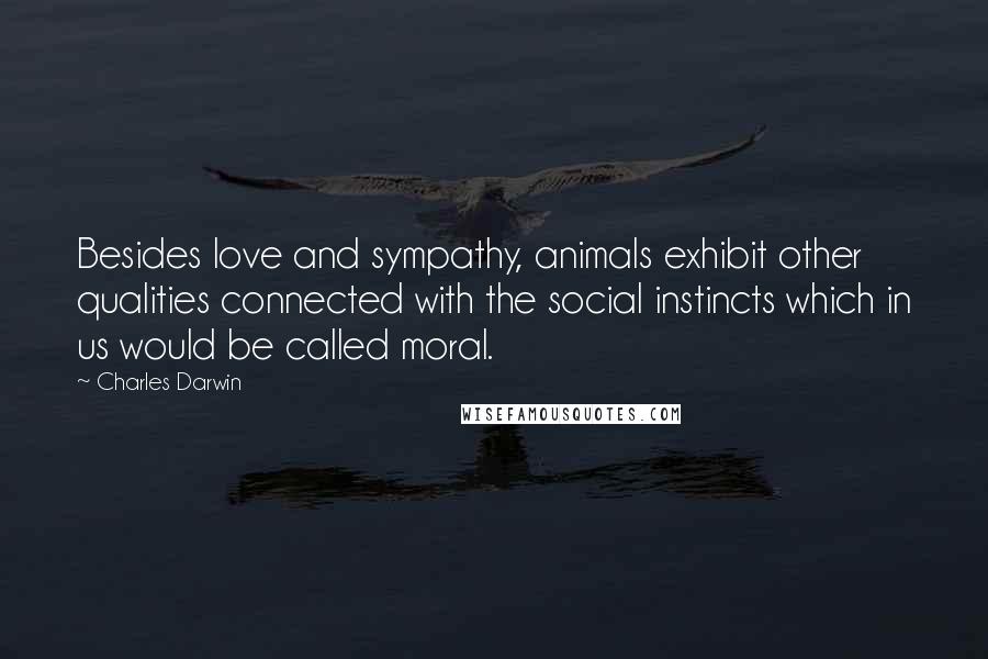 Charles Darwin Quotes: Besides love and sympathy, animals exhibit other qualities connected with the social instincts which in us would be called moral.