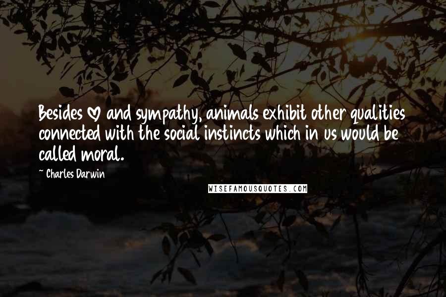 Charles Darwin Quotes: Besides love and sympathy, animals exhibit other qualities connected with the social instincts which in us would be called moral.
