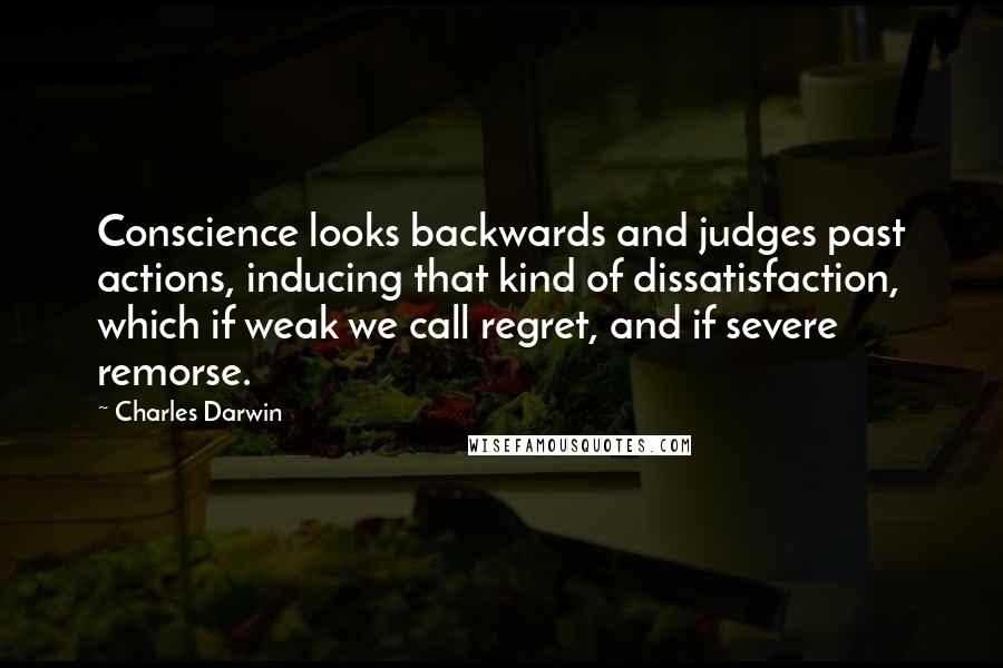 Charles Darwin Quotes: Conscience looks backwards and judges past actions, inducing that kind of dissatisfaction, which if weak we call regret, and if severe remorse.