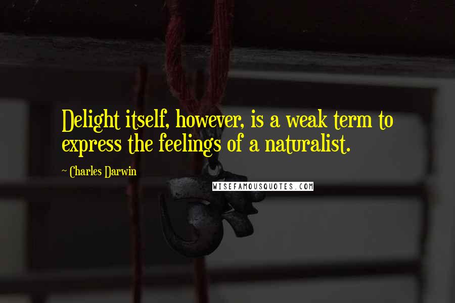 Charles Darwin Quotes: Delight itself, however, is a weak term to express the feelings of a naturalist.