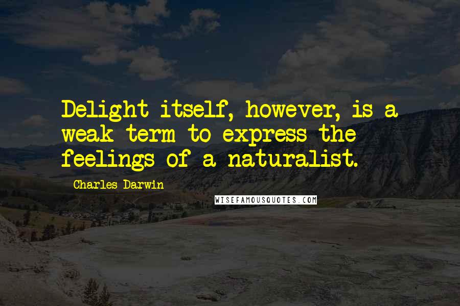 Charles Darwin Quotes: Delight itself, however, is a weak term to express the feelings of a naturalist.