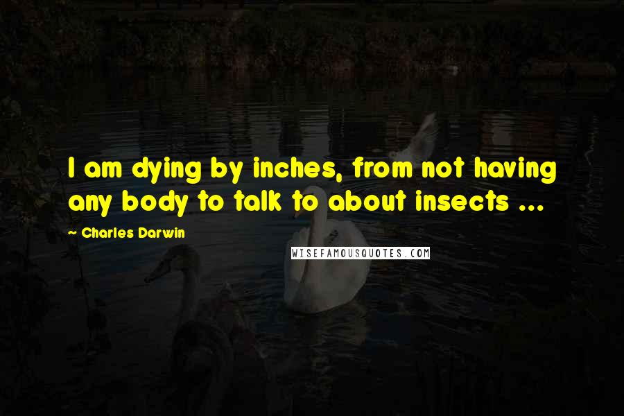 Charles Darwin Quotes: I am dying by inches, from not having any body to talk to about insects ...