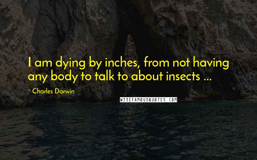 Charles Darwin Quotes: I am dying by inches, from not having any body to talk to about insects ...