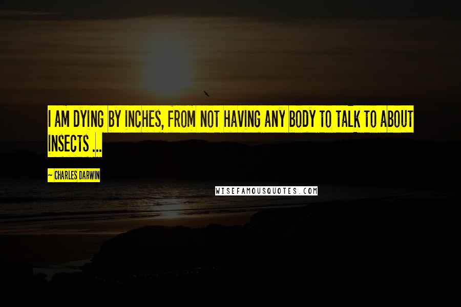 Charles Darwin Quotes: I am dying by inches, from not having any body to talk to about insects ...