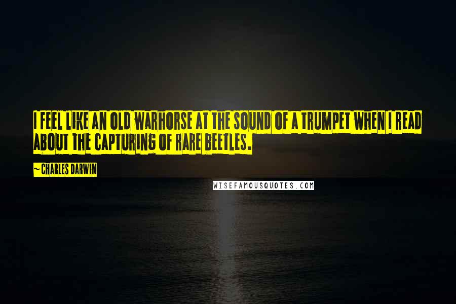 Charles Darwin Quotes: I feel like an old warhorse at the sound of a trumpet when I read about the capturing of rare beetles.