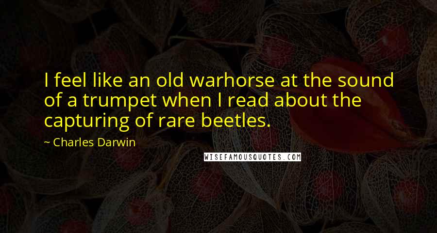 Charles Darwin Quotes: I feel like an old warhorse at the sound of a trumpet when I read about the capturing of rare beetles.
