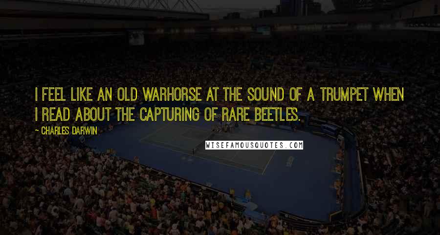 Charles Darwin Quotes: I feel like an old warhorse at the sound of a trumpet when I read about the capturing of rare beetles.