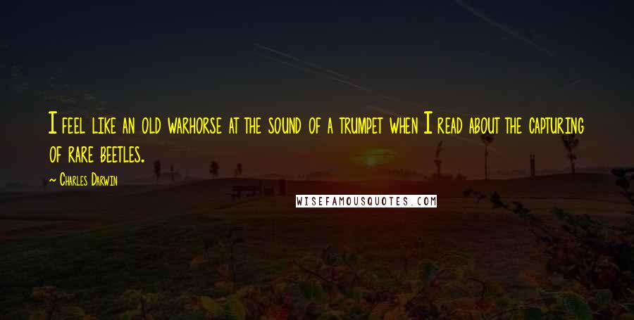 Charles Darwin Quotes: I feel like an old warhorse at the sound of a trumpet when I read about the capturing of rare beetles.