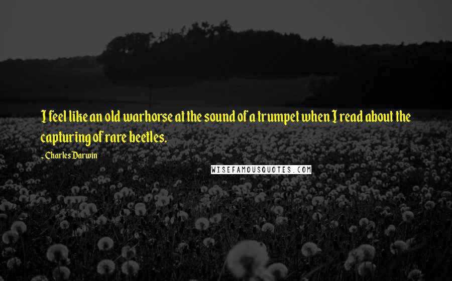 Charles Darwin Quotes: I feel like an old warhorse at the sound of a trumpet when I read about the capturing of rare beetles.