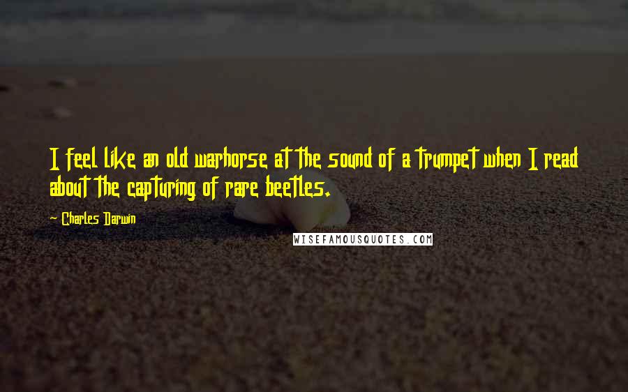 Charles Darwin Quotes: I feel like an old warhorse at the sound of a trumpet when I read about the capturing of rare beetles.