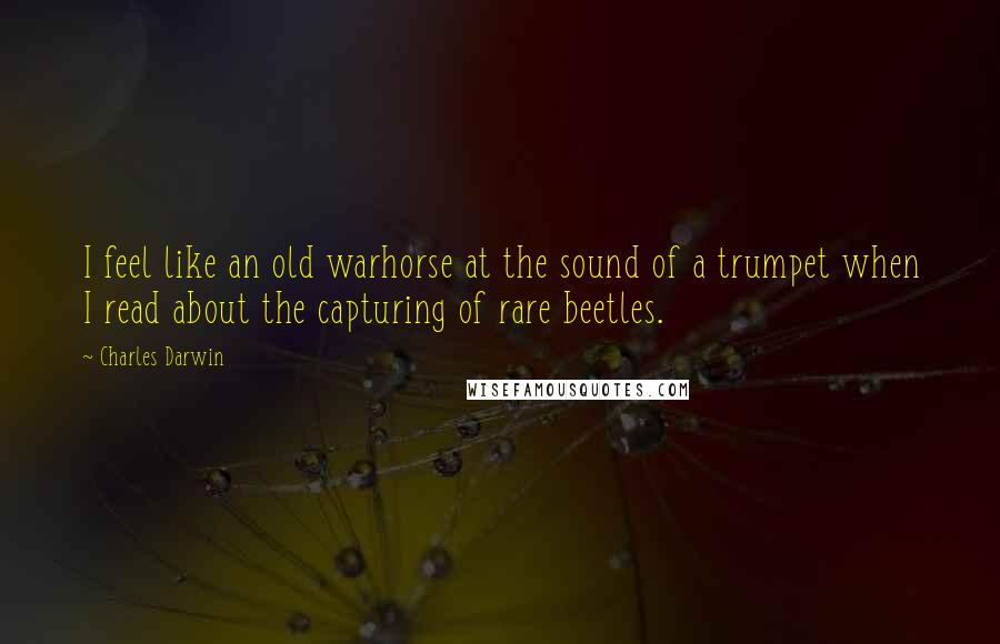 Charles Darwin Quotes: I feel like an old warhorse at the sound of a trumpet when I read about the capturing of rare beetles.