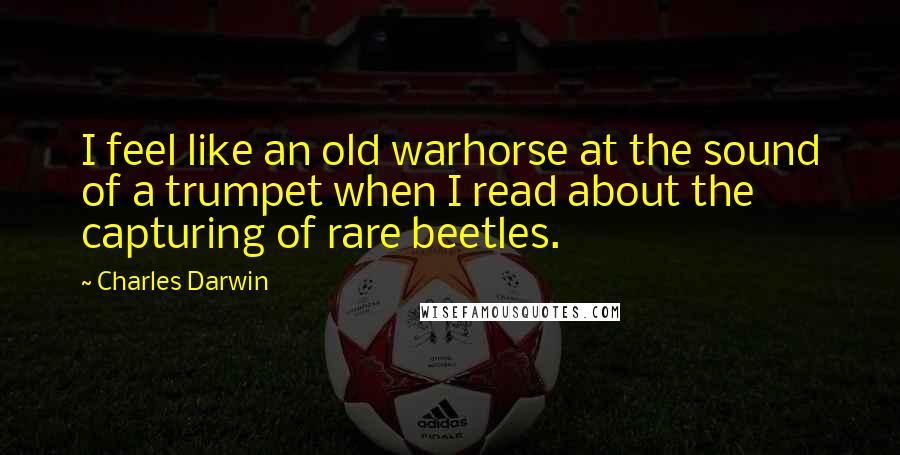 Charles Darwin Quotes: I feel like an old warhorse at the sound of a trumpet when I read about the capturing of rare beetles.