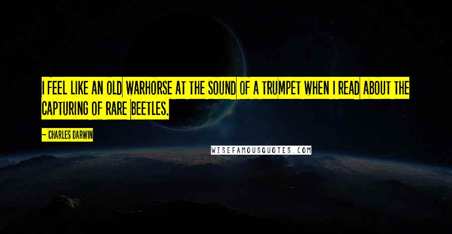 Charles Darwin Quotes: I feel like an old warhorse at the sound of a trumpet when I read about the capturing of rare beetles.