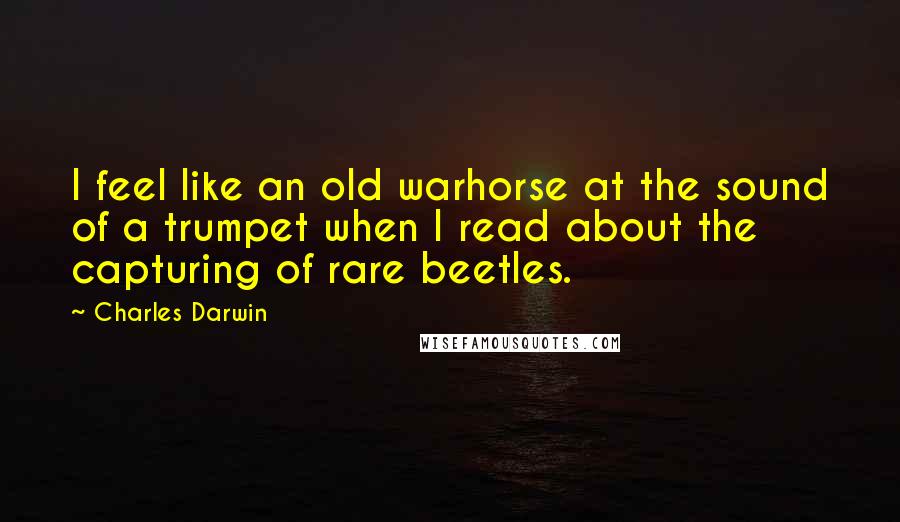 Charles Darwin Quotes: I feel like an old warhorse at the sound of a trumpet when I read about the capturing of rare beetles.