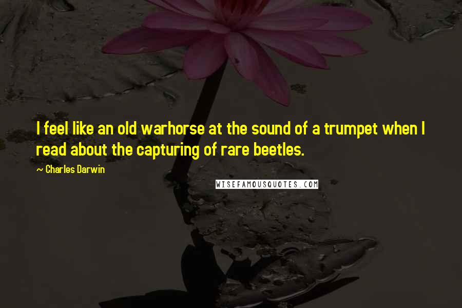 Charles Darwin Quotes: I feel like an old warhorse at the sound of a trumpet when I read about the capturing of rare beetles.