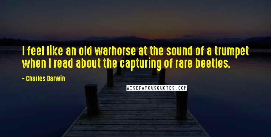 Charles Darwin Quotes: I feel like an old warhorse at the sound of a trumpet when I read about the capturing of rare beetles.