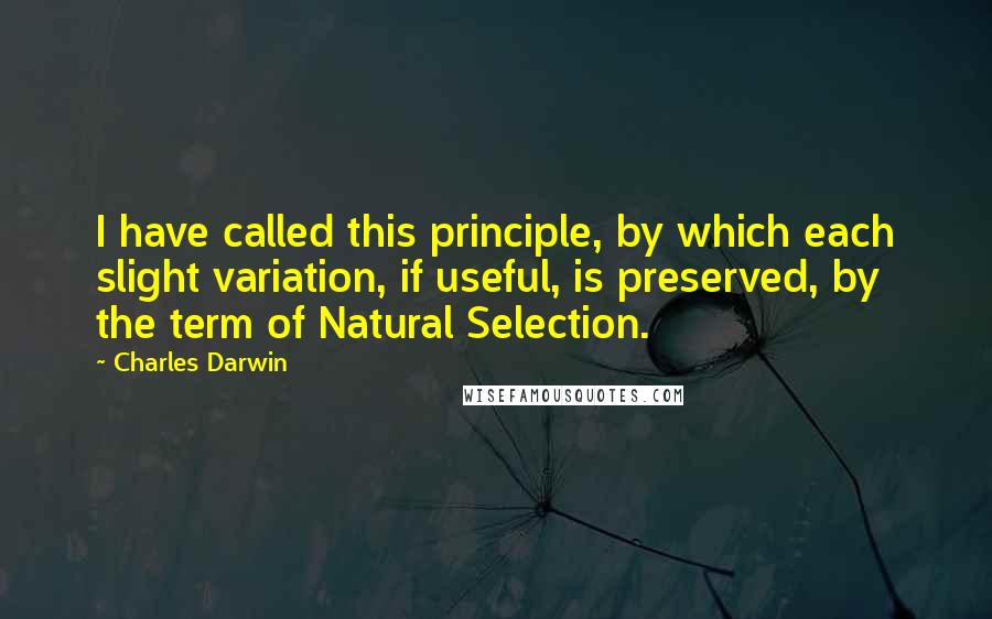 Charles Darwin Quotes: I have called this principle, by which each slight variation, if useful, is preserved, by the term of Natural Selection.