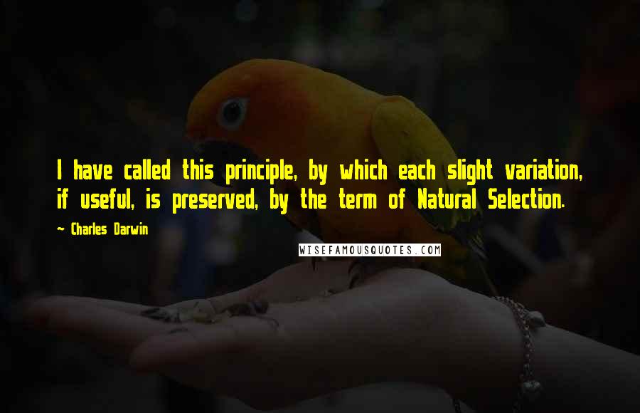 Charles Darwin Quotes: I have called this principle, by which each slight variation, if useful, is preserved, by the term of Natural Selection.