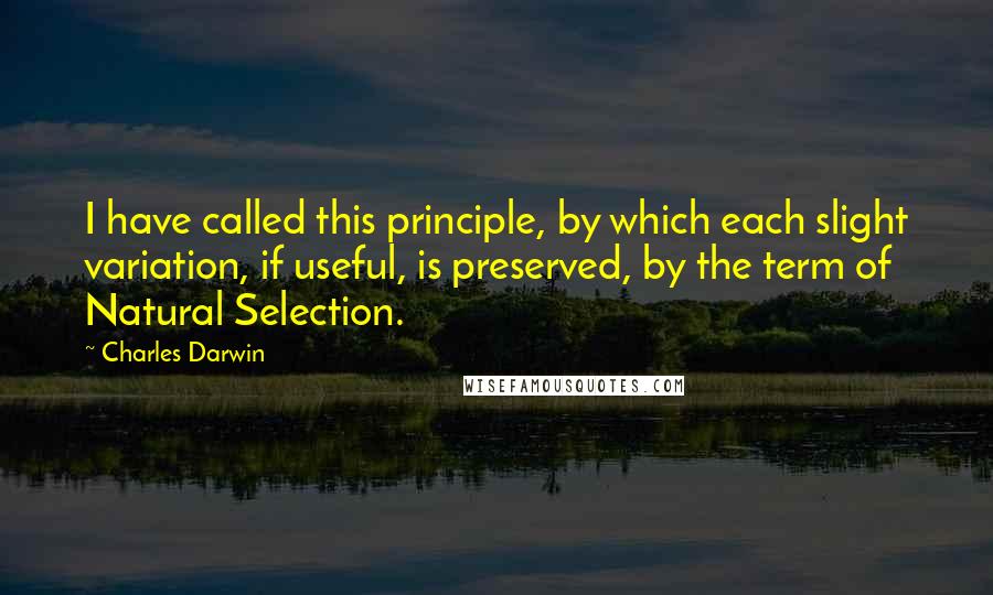 Charles Darwin Quotes: I have called this principle, by which each slight variation, if useful, is preserved, by the term of Natural Selection.