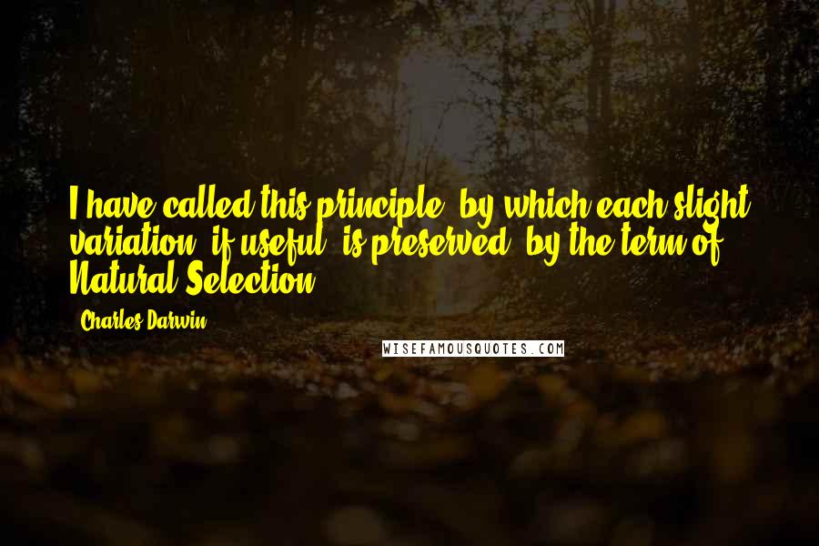 Charles Darwin Quotes: I have called this principle, by which each slight variation, if useful, is preserved, by the term of Natural Selection.