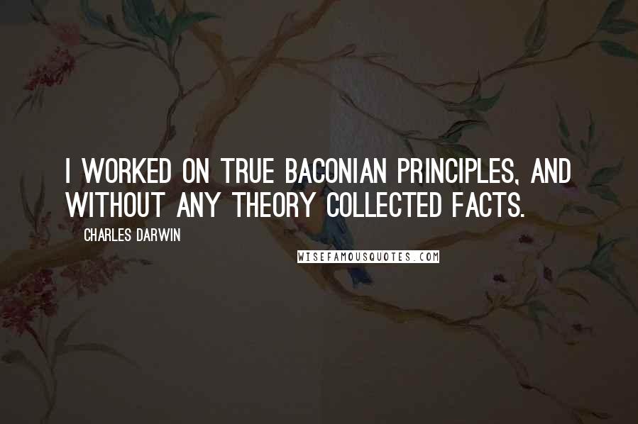 Charles Darwin Quotes: I worked on true Baconian principles, and without any theory collected facts.